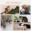 6PCs Modern Steel Cat Wall Shelves with Jumping Platform and Hammock, Cream