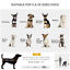 Pet Stroller Foldable Travel Dog Cat Carriage w/ Reversible Handle Brake Basket