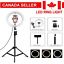 Selfie Ring Light With Tripod Stand and Phone Holder LED Makeup Circle Lamp CA